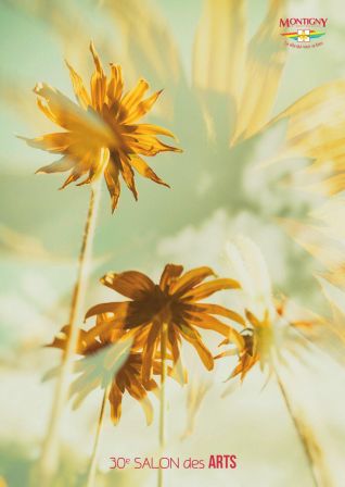 Montigny-le-Bretonneux du 27 mai au samedi 5 juin 2019